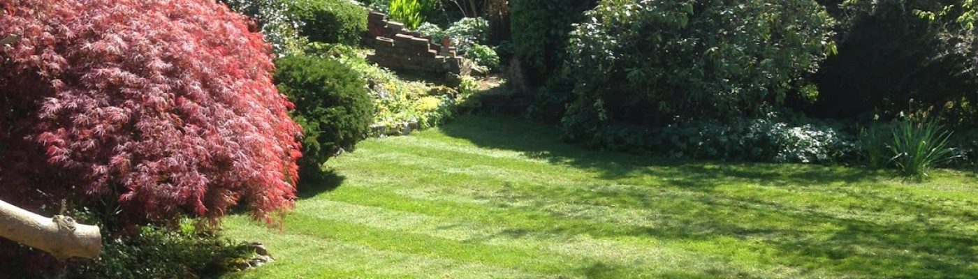 Windmill Contractors